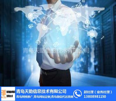 天助資源共享網 信息技術咨詢服務的卓越平臺